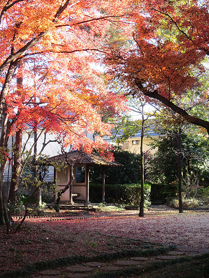 山本有三記念館：秋の有三記念公園