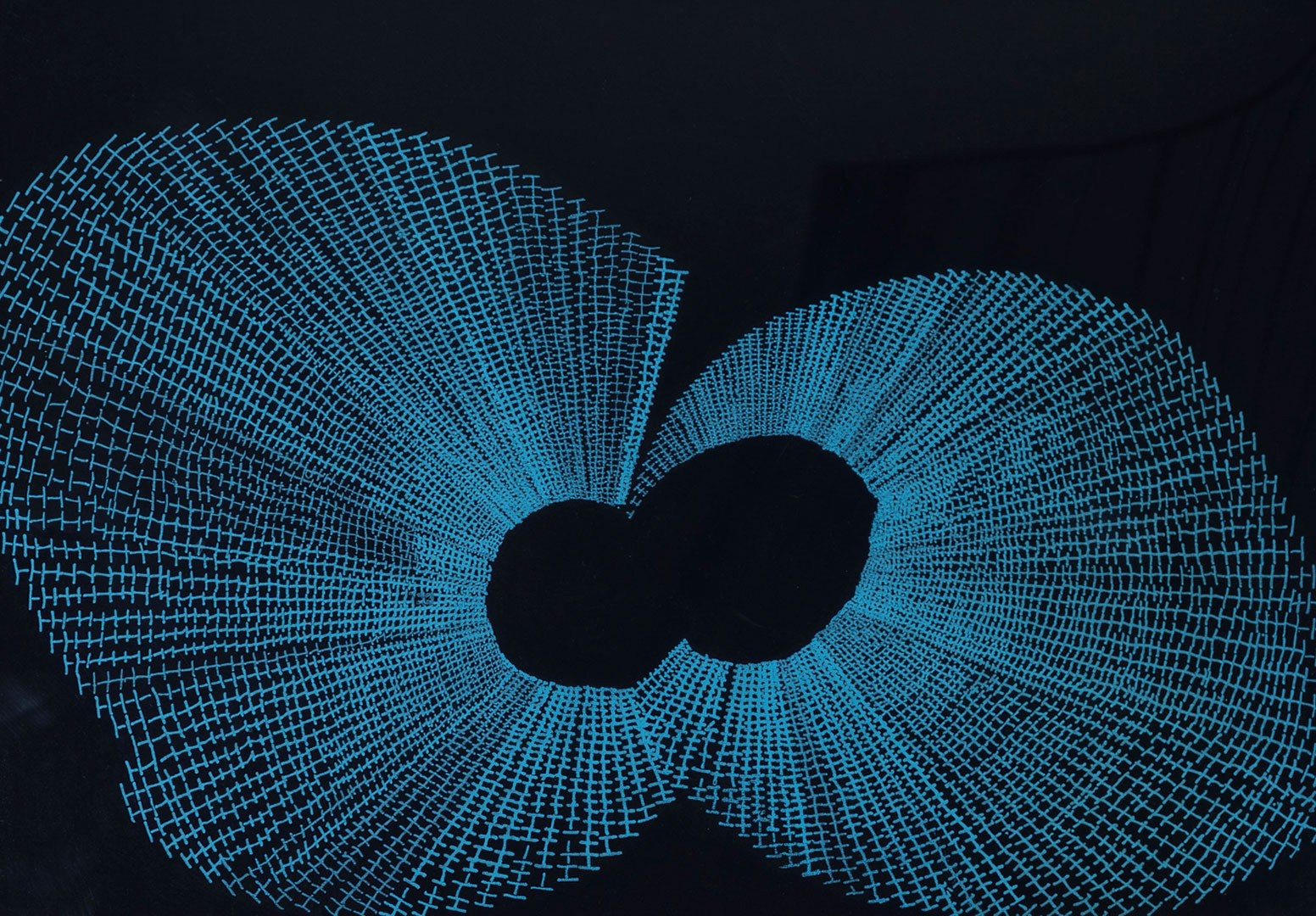 高橋信之「 くもの巣」 高橋信之「 くもの巣」