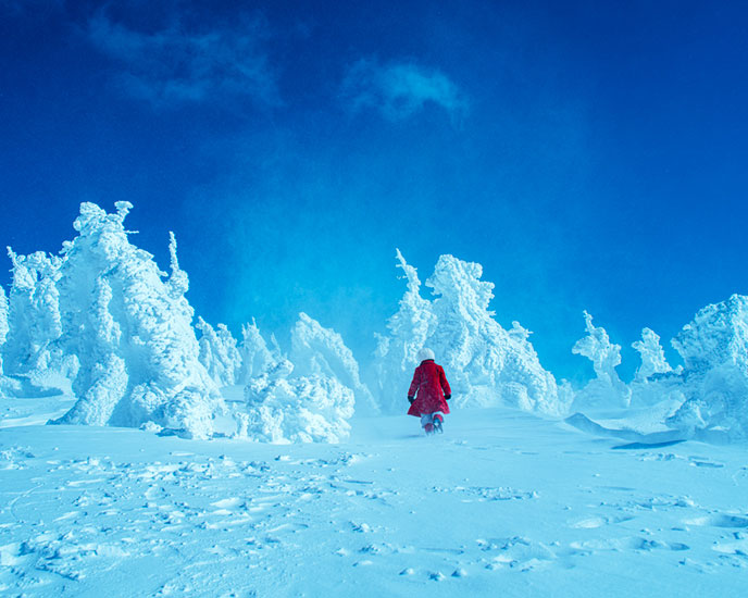 齋藤陽道《少し歩いて、おまえは見上げた》2020年撮影